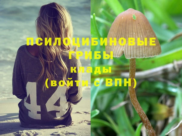 2c-b Баксан
